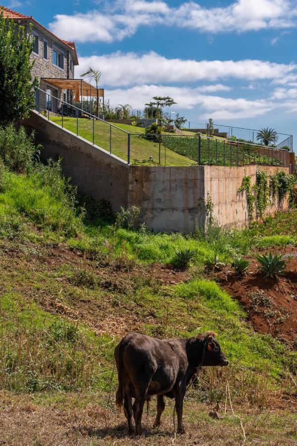 Villa Fauna - Nature & Tranquility - Heated Pool Optional Prazeres Exteriér fotografie